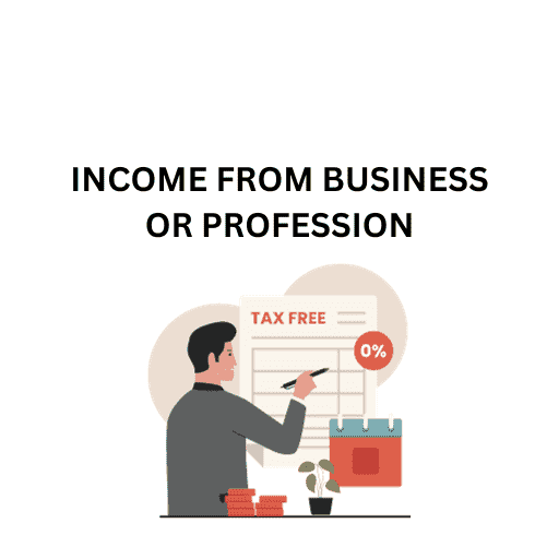 INCOME FROM BUSINESS OR PROFESSION